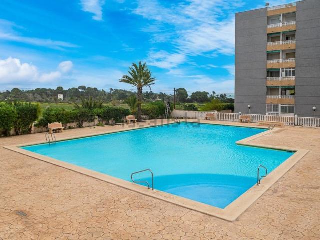 Piso, Torrevieja
