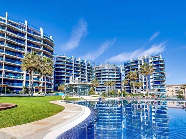 Piso, Torrevieja