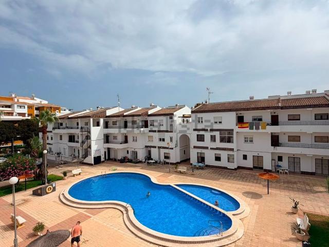 Piso, Torrevieja