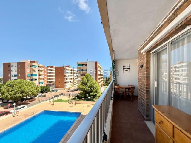 Piso, Torrevieja