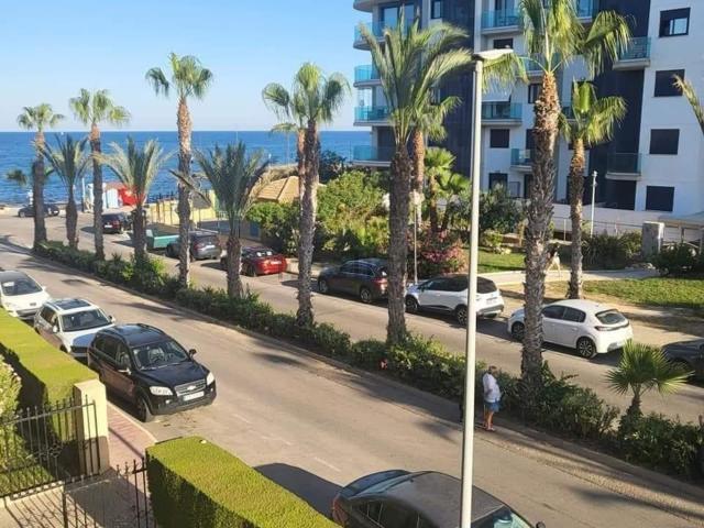 Piso, Torrevieja