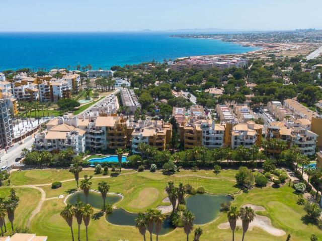 Piso, Torrevieja