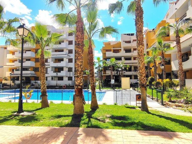 Piso, Torrevieja