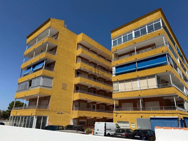 Piso, Torrevieja