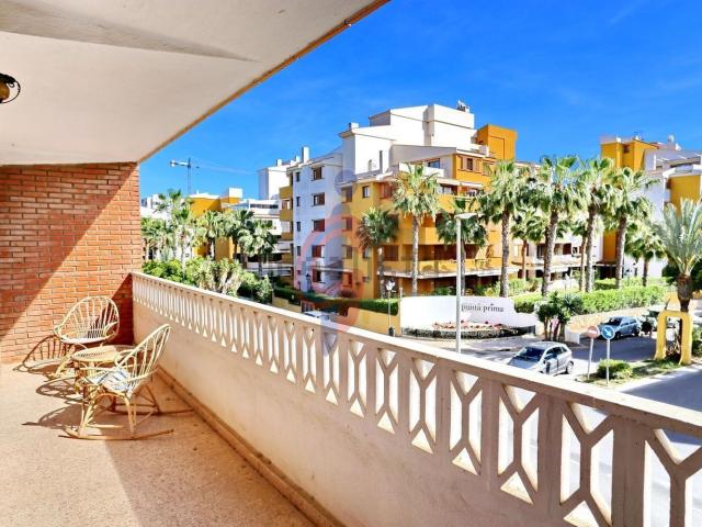 Piso, Torrevieja