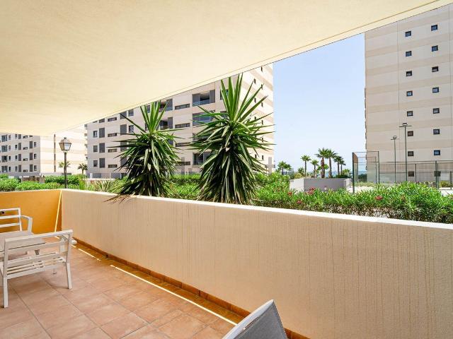 Piso, Torrevieja