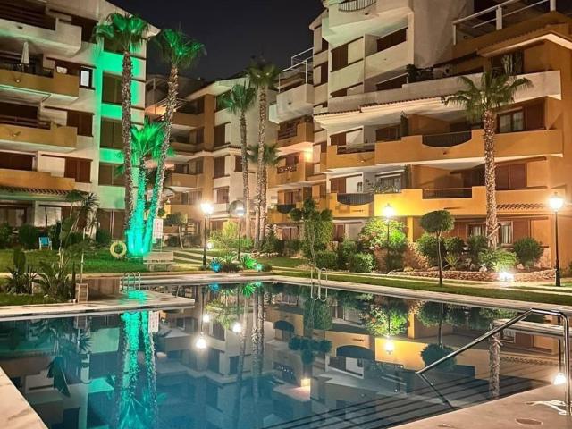 Piso, Torrevieja