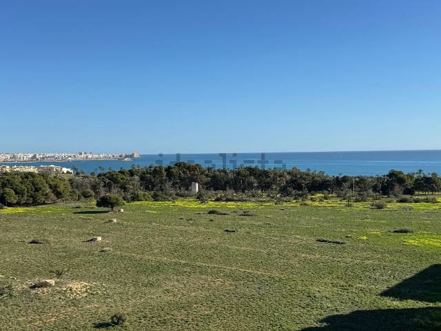 Piso, Torrevieja