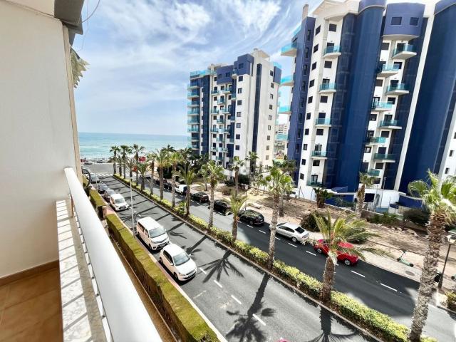 Piso, Torrevieja