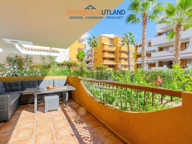 Piso, Torrevieja