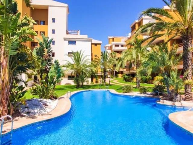Piso, Torrevieja