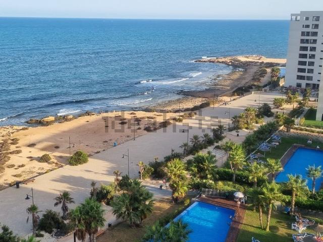 Piso, Torrevieja