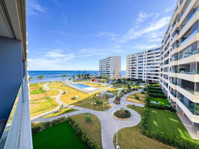 Piso, Torrevieja