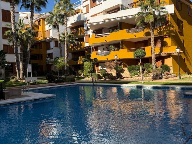 Piso, Torrevieja