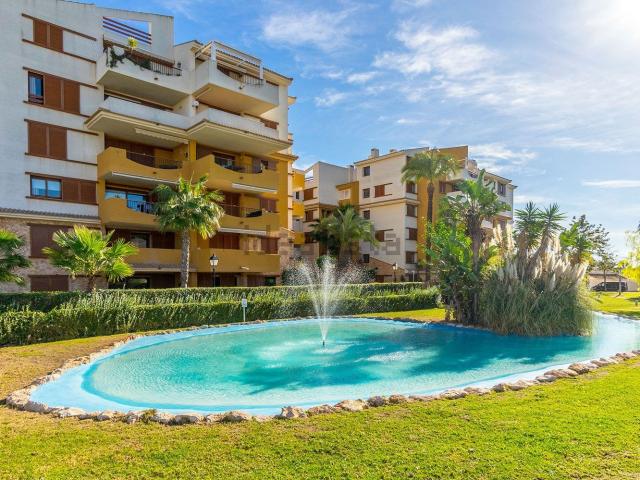 Piso, Torrevieja
