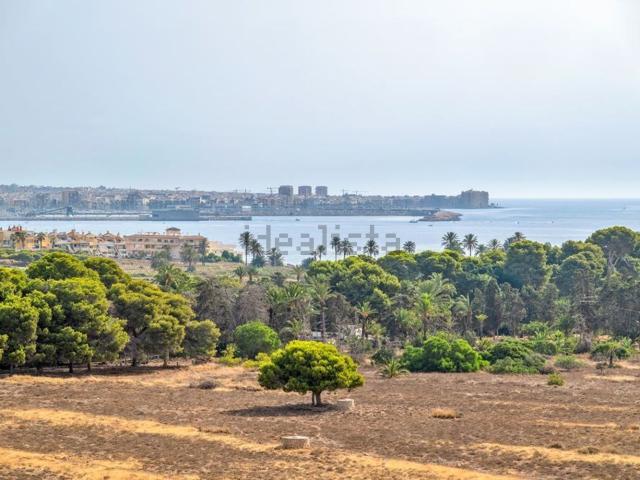 Piso, Torrevieja
