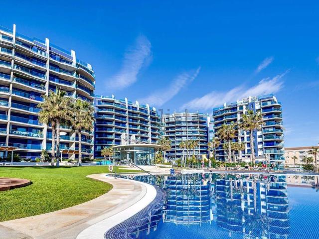 Piso, Torrevieja