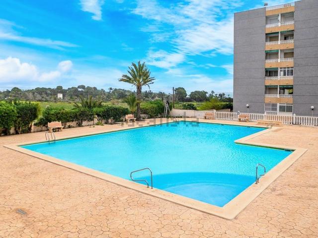Piso, Torrevieja