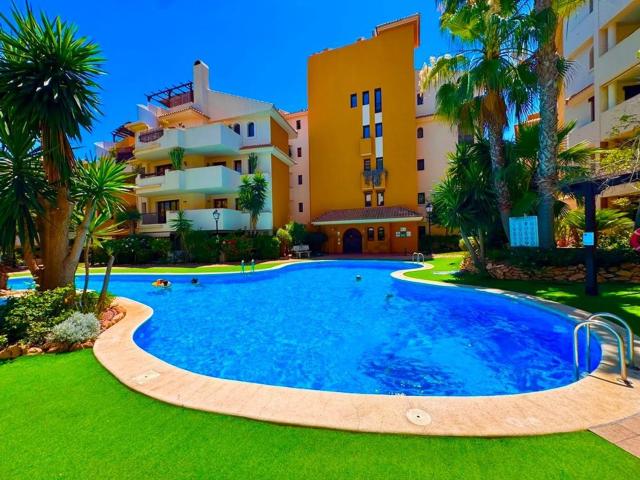 Piso, Torrevieja