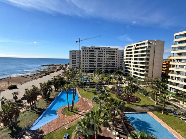 Piso, Torrevieja