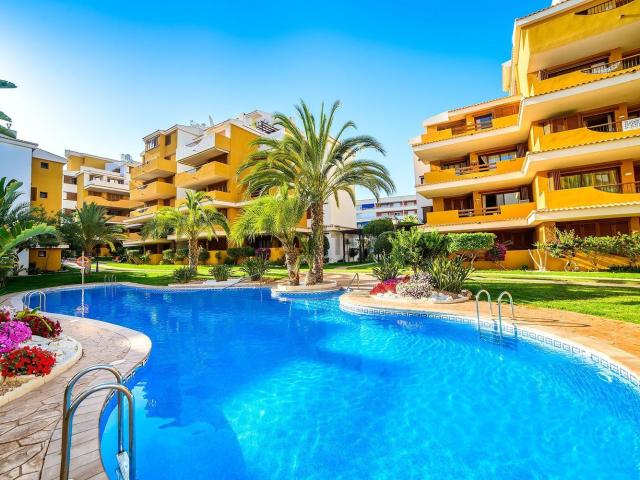 Piso, Torrevieja