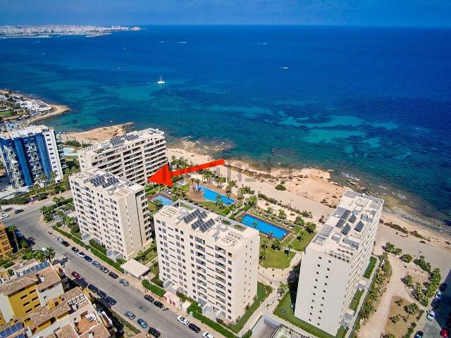 Piso, Torrevieja