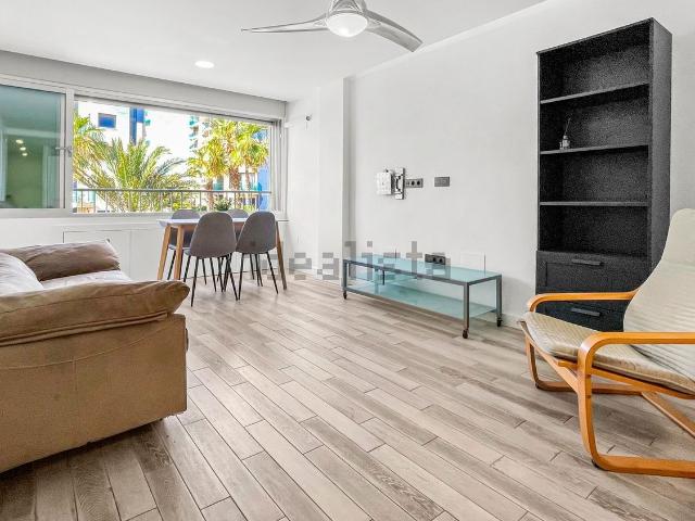 Piso, Torrevieja