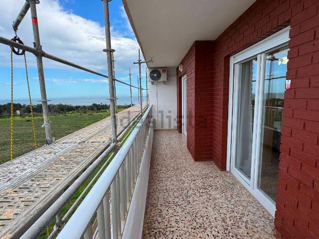 Piso, Torrevieja