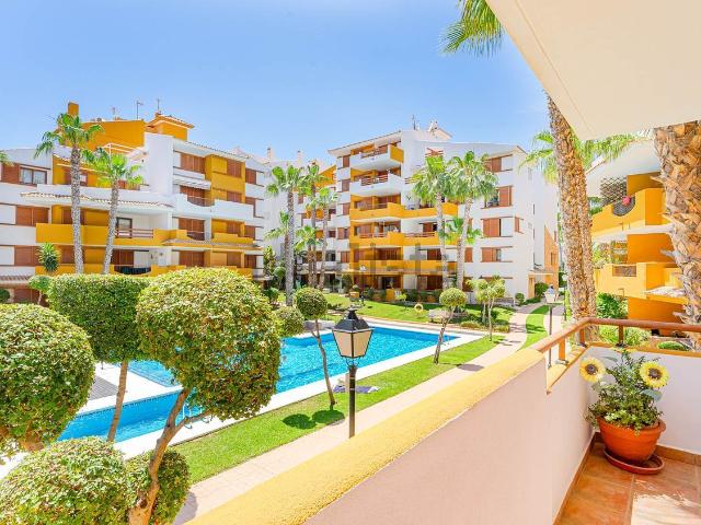 Piso, Torrevieja