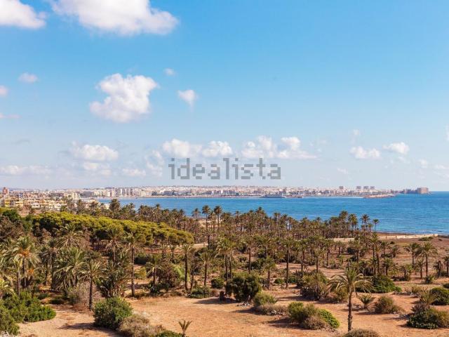 Piso, Torrevieja