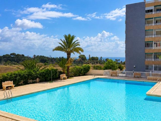 Piso, Torrevieja
