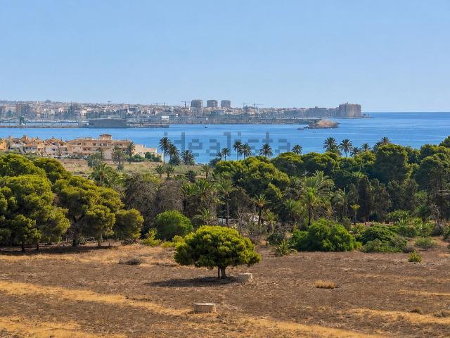 Piso, Torrevieja