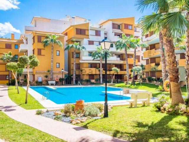 Piso, Torrevieja
