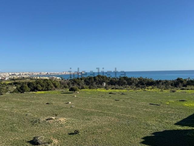 Piso, Torrevieja
