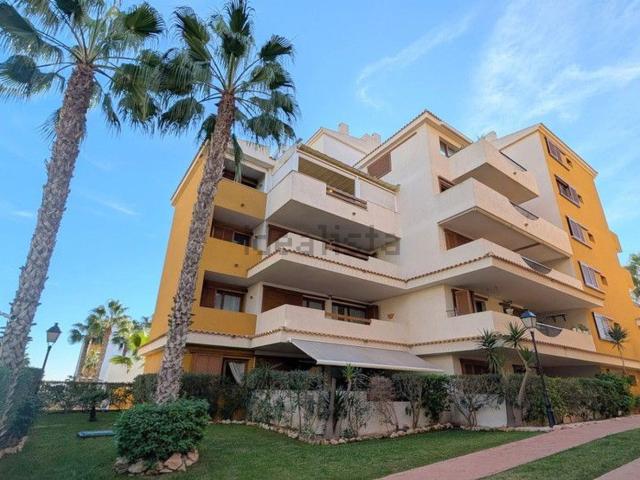 Piso, Torrevieja