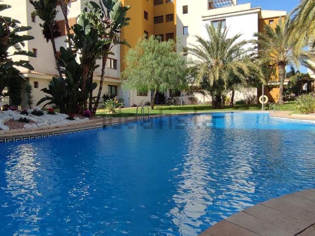 Piso, Torrevieja