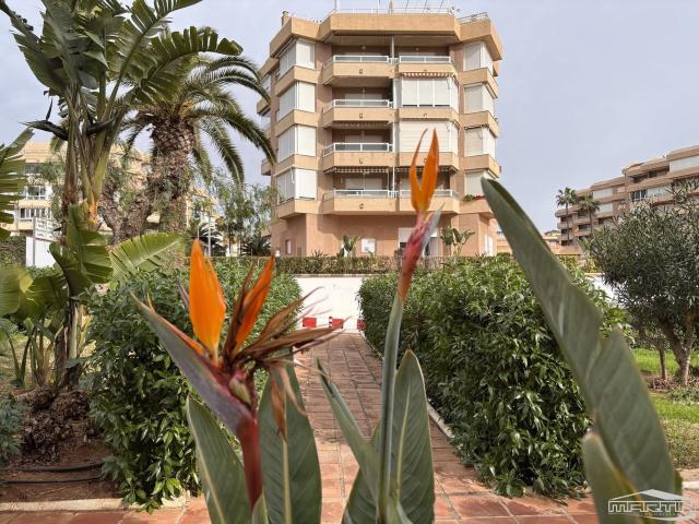 Piso, Torrox