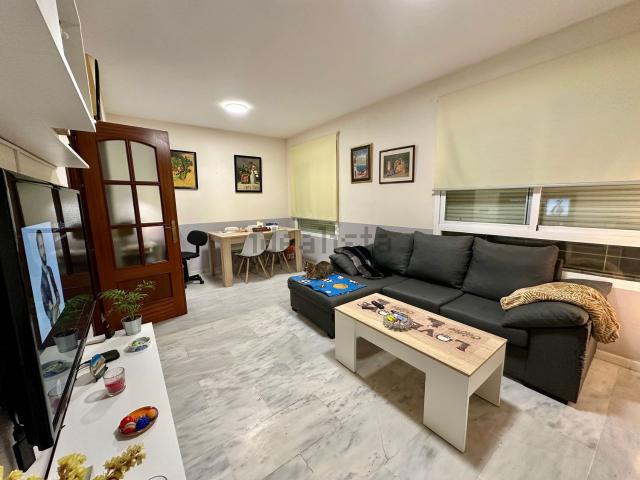 Piso, Torrox