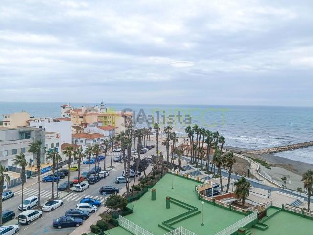 Piso, Torrox