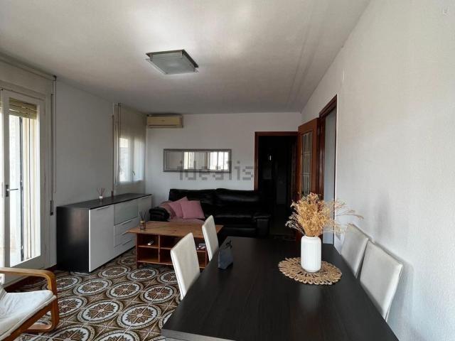 Piso, Tortosa
