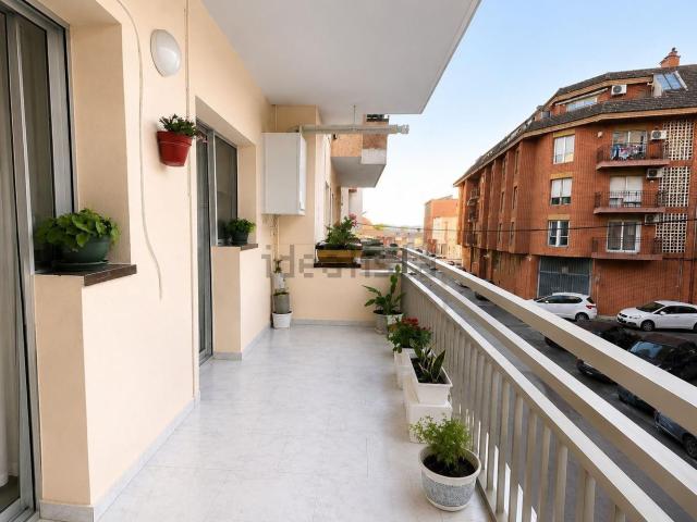Piso, Tortosa