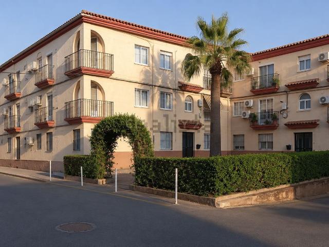 Piso, Trujillo