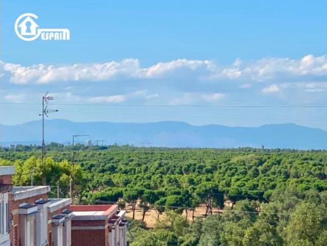 Piso Venta Madrid Capital, Campamento