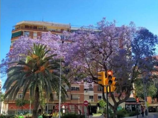 Piso Venta Málaga Capital, Camino de Suárez