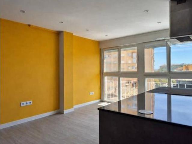 Piso Venta Málaga Capital, Huelin La Princesa Jardín de la Abadía