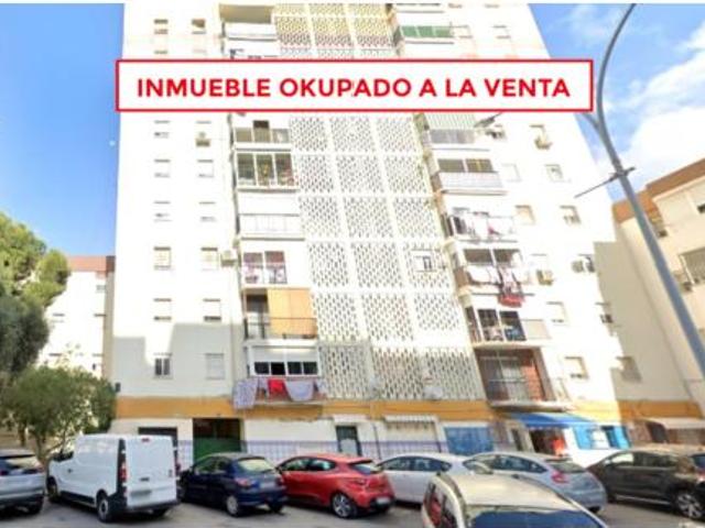 Piso Venta Málaga Capital, La Virreina Jardín Botánico La Rosaleda