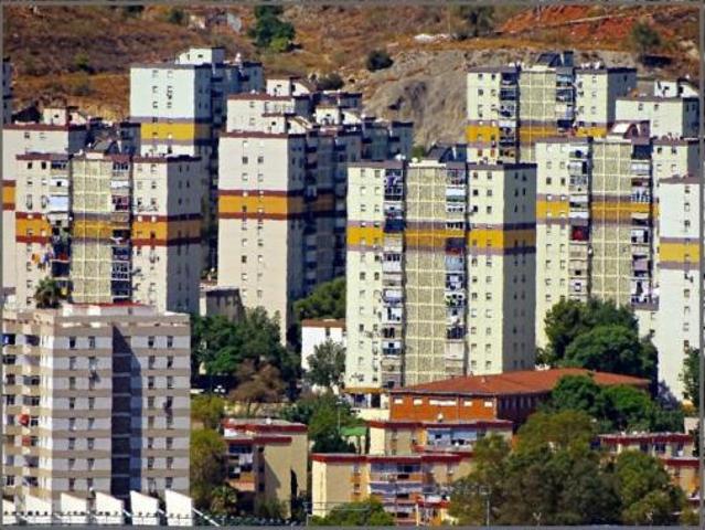 Piso Venta Málaga Capital, La Virreina Jardín Botánico La Rosaleda