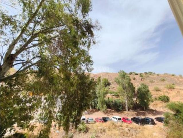 Piso Venta Málaga Capital, La Virreina Jardín Botánico La Rosaleda
