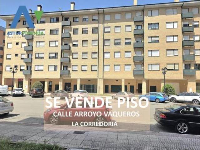 Piso Venta Oviedo, La Corredoría Prado de la Vega La Monxina