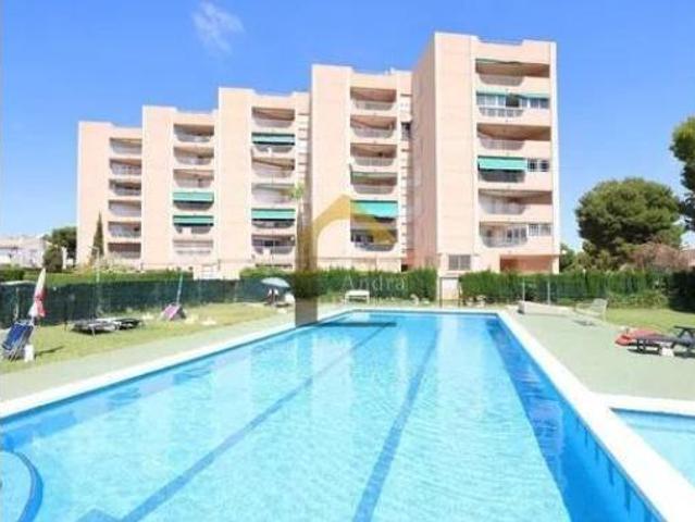 Piso Venta Orihuela, Orihuela